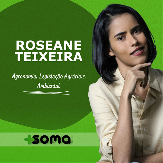 Roseane Teixeira 