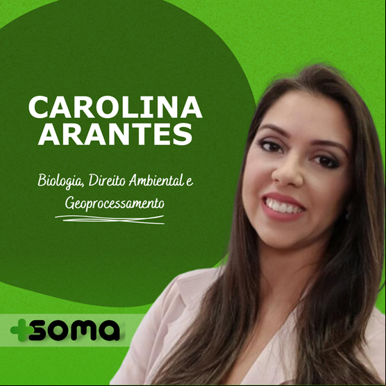 Carolina Arantes